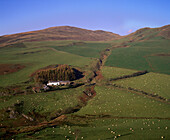 Hill Farm, Moelwyn Mountains Nr. Talybont, Powys, UK, Wales