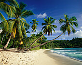 Beach Scene, Anse Takamaka, Mahe, Seychelles