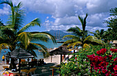 View of Beach, Trois-elets, Martinique, Caribbean