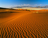 Desertscape, Namib Rand Reserve, Namibia