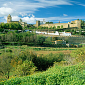 View to Town, Jerez De Los Caballeros, Extremadura, Spain