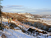 View of Eyam Edge (Winter), Eyam, Derbyshire, UK, England