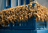 Onions Drying on Balcony, Mandhraki, Nisyros Island, Greek Islands