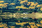 View over Loch, Loch Chon, Central, UK, Scotland