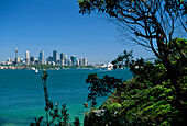 City View Through Bush, Sydney, Bradleys Head, New South Wales, Australia