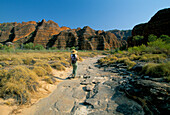 Landscape with Hiker, Bungle Bungles, Western Australia, Australia