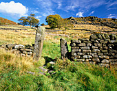 Moorland with Dry Stone Wall (autumn), Baslow Edge National Park, Derbyshire, UK, England