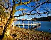 Brandel How in autumn, Derwentwater, Cumbria, UK, England