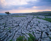Limestone scenery, Yorkshire Dales, Yorkshire, UK, England