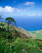 Kalalau Valley Lookout on Kalalau Trail, Kauai Island, Hawaii, Usa