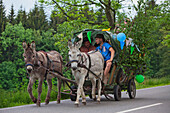 Group of men in a carriage, Father's Day, Ore mountains, Saxony, Germany