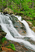 Riesloch waterfalls, Bodenmais, Bayerischer Wald, Niederbayern, Deutschland