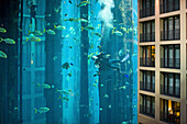 the 5 star Radisson SAS Hotel features the world's largest cylindrical aquarium. entrance to Aqua Dom, a diver cleans the tank, Berlin, Germany