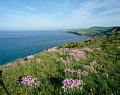 Coastal scenery, view west from Chapmans Pool, Purbeck, Dorset, UK, England