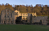 View of Rievaulx Abbey in winter, Ryedale, Yorkshire, UK, England