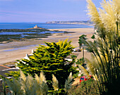 View to Rocco Tower with pampas grass in bloom in the foreground, St Ouen's Bay, Jersey, UK, Channel Islands