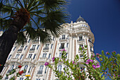 Carlton Hotel with palm tree and flowers, Cannes, Cote d'Azur, France