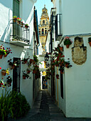 Street of flowers in Moorish quarter, Cordoba, Andalucia, Spain