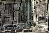 Angkor Wat, Ta Prohm temple, Siem Reap, near, Cambodia