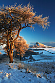 View to Roseberry Topping in winter framed by sunlit trees, Guisborough, near, Cleveland, UK, England
