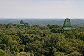 Mayan temples and jungle, Tikal, Guatemala