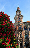 Architecture and flowers in bloom, Seville, Andalucia, Spain