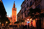 The Giralda tower at night, Seville, Andalucia, Spain