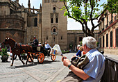 Plaza Virgen de los Reyes, horse and carriage, Seville, Andalucia, Spain
