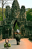 Elephant and bicycle approaching the south gate of Angkor Thom, Siem Reap, near, Cambodia
