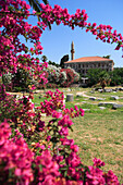 Mosque at the ancient Agora framed by flowers, Kos Town, Kos Island, Greek Islands