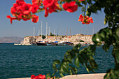 View over sea to the Castle of the Knights framed by flowers, Kos Town, Kos Island, Greek Islands
