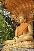 Buddha statue at Wat Si Muang, Vientiane, Laos