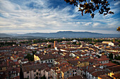 View north west across the city from the Tower Guinigi, Lucca, Tuscany, Italy