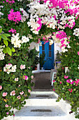 Flowers around blue door, Kritinia, Rhodes Island, Greek Islands