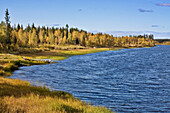 Ounasjoki River scene in autumn, Raattama, near, Lapland, Finland