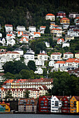 Houses over hillside beside fiord, Bergen, Hordaland, Norway