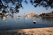 Harbour and old town, Rovinj, Istria, Croatia