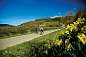 The White Horse and cyclists in spring, Kilburn, near, Yorkshire, UK, England