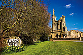 Byland Abbey in spring, Wass Ryedale, near, Yorkshire, UK, England