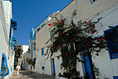 Colourful street scene, Sidi Bou Said, Tunis, Tunisia