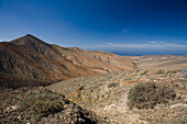 Blick über Berge unter blauem Himmel zum Meer, Morro Colorado, Fuerteventura, Kanarische Inseln, Spanien, Europa