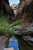 Brook between rocks at Masca canyon, Barranco de Masca, Parque rural de Teno, Tenerife, Canary Islands, Spain, Europe
