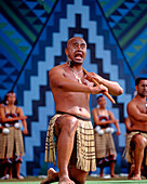 Rotorua Maori Arts Festival, Maori Hakka dance