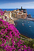 View to Vernazza, bougainvillea in the foreground, Vernazza, Cinque Terre, La Spezia, Liguria, Italian Riviera, Italy, Europe