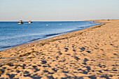 Beach on the Ilhe de Tavira in the morning light, Tavira, Algarve, Portugal