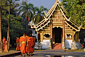 Mönche bzw Novizen am Morgen, Wat Phra Sing, Chiang Mai, Thailand, Asien