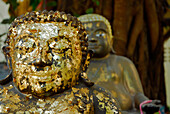 Buddha Skulptur mit Goldblatt, Wat Phra Kaeo, Chiang Rai, Thailand, Asien