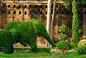 Bush in the shape of an elephant, Park and enclosure walls of Narai Palace, Lopburi, Thailand, Asia