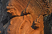 Detail, Naga Schlangen, Prasat Hin Khao Phanom Rung, Khmer Tempel in der Provinz Buriram, Thailand, Asien