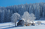 Schwarzwaldhaus an Wintermorgen in Breitnau-Fahrenberg, Schwarzwald, Baden-Württemberg, Deutschland, Europa